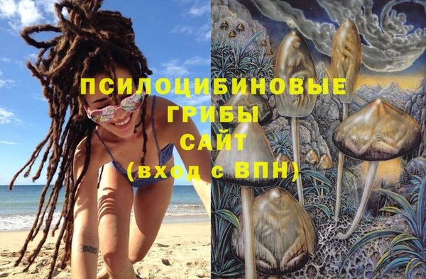 наркотики Алексин