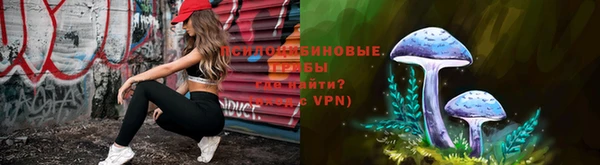 apvp Алексеевка
