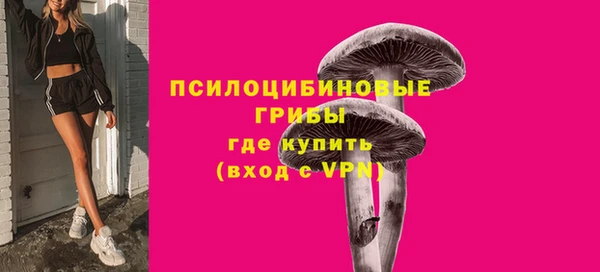 apvp Алексеевка