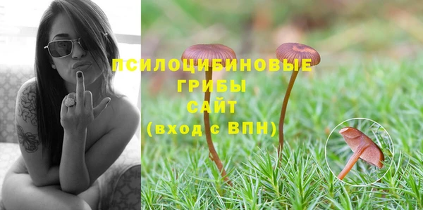 гидропоника Алзамай