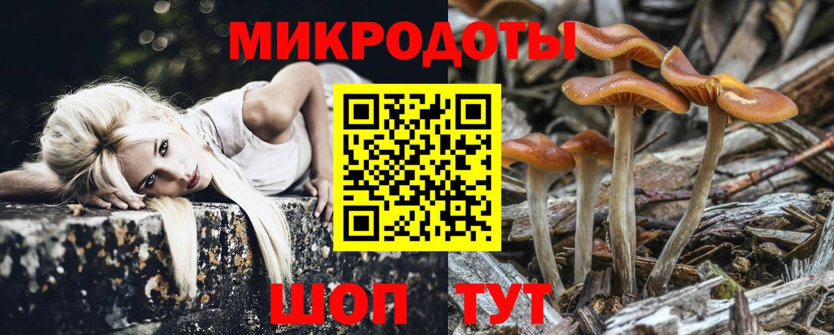 Галлюциногенные грибы GOLDEN TEACHER Иваново